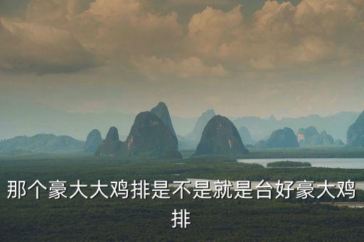 豪大雞排，那個豪大大雞排是不是就是臺好豪大雞排