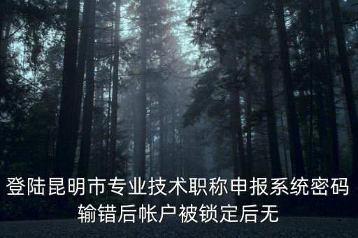 登陸昆明市專業(yè)技術(shù)職稱申報(bào)系統(tǒng)密碼輸錯(cuò)后帳戶被鎖定后無(wú)