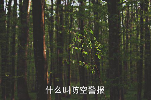 什么叫防空警報