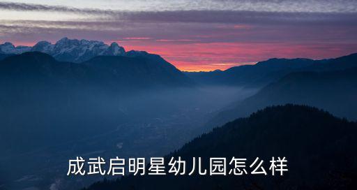 成武啟明星幼兒園怎么樣