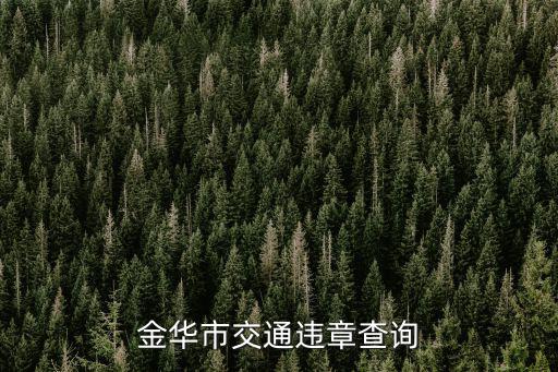 金華市交通違章查詢