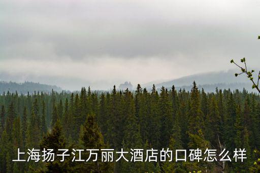 上海揚子江萬麗大酒店的口碑怎么樣