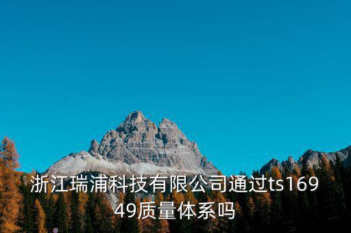 浙江瑞浦科技有限公司通過ts16949質量體系嗎