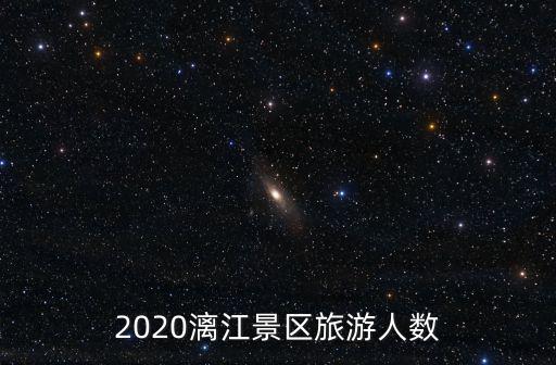 2020漓江景區(qū)旅游人數