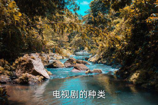 電視劇的種類