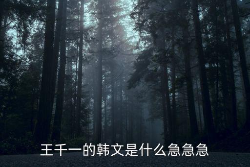 王千一的韓文是什么急急急