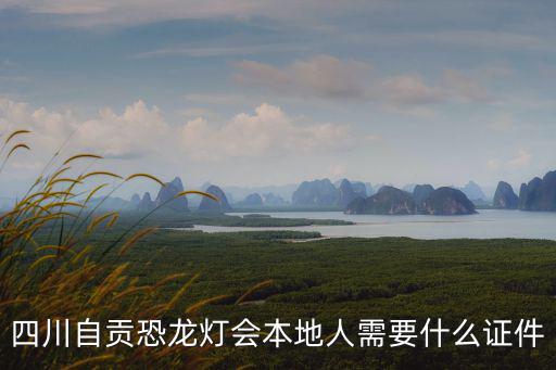 四川自貢恐龍燈會(huì)本地人需要什么證件