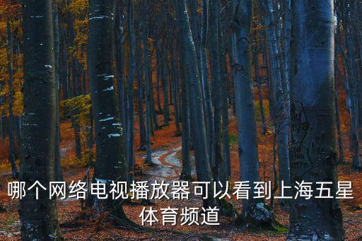 哪個網絡電視播放器可以看到上海五星體育頻道