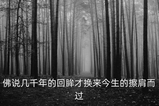 佛說幾千年的回眸才換來今生的擦肩而過