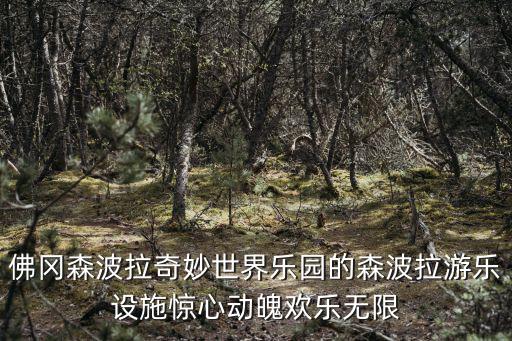佛岡森波拉奇妙世界樂園的森波拉游樂設施驚心動魄歡樂無限