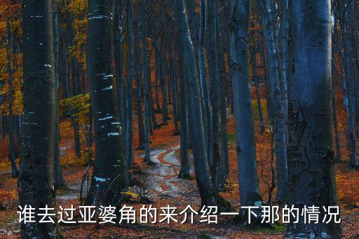 亞婆角，誰去過亞婆角的來介紹一下那的情況