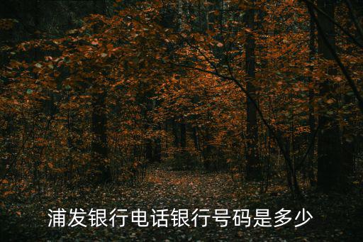 浦發銀行電話，浦發銀行客服電話是多少