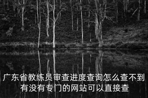 廣東省教練員審查進(jìn)度查詢?cè)趺床椴坏?有沒有專門的網(wǎng)站可以直接查