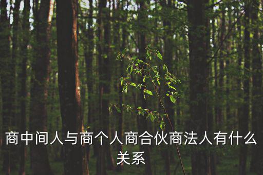 商個人，商主體中屬于商個人的是