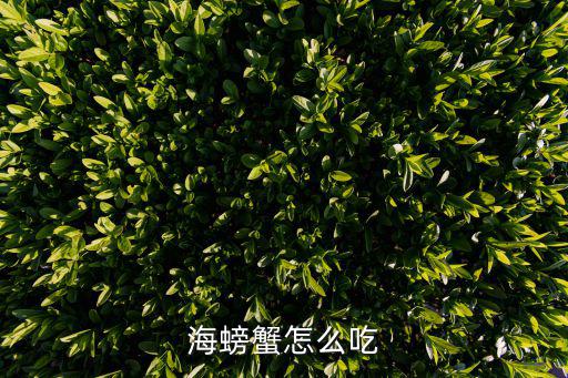 海螃蟹怎么吃