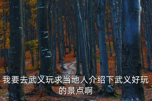 我要去武義玩求當地人介紹下武義好玩的景點啊