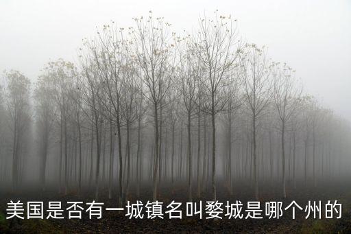 美國是否有一城鎮(zhèn)名叫婺城是哪個州的