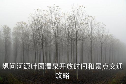 葉園溫泉，我想問問河源本地人都去哪泡溫泉