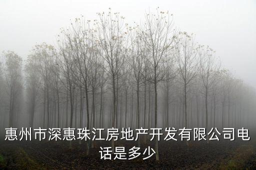 惠州市深惠珠江房地產開發有限公司電話是多少