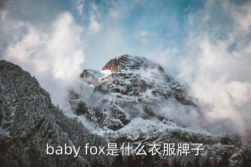 baby fox是什么衣服牌子