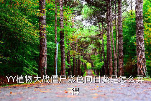 彩色向日葵，這種顏色的向日葵叫什么名字哪位知道的告之一下謝謝啦