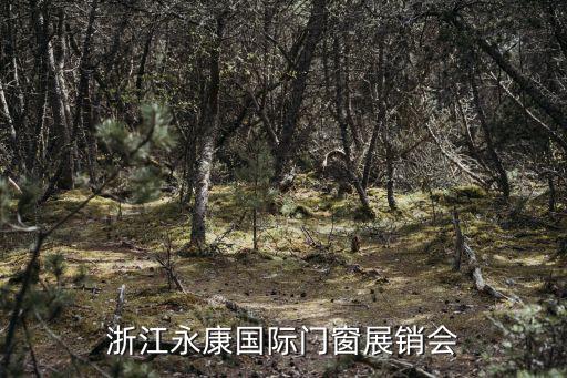 浙江永康國際門窗展銷會