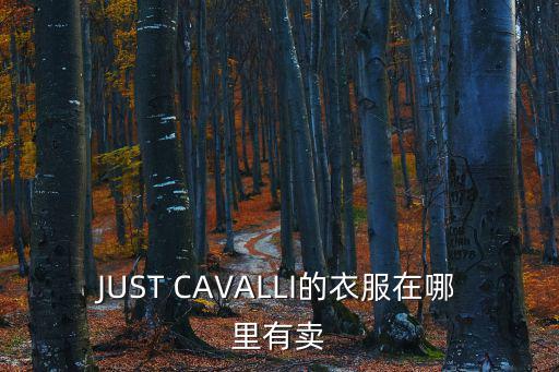 JUST CAVALLI的衣服在哪里有賣