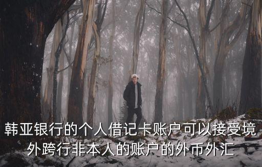 韓亞銀行的個人借記卡賬戶可以接受境外跨行非本人的賬戶的外幣外匯