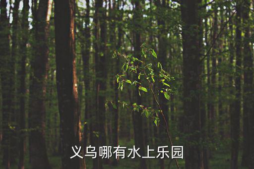 義烏水上樂園，義烏哪有水上樂園