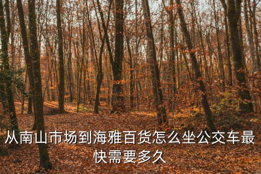 從南山市場到海雅百貨怎么坐公交車最快需要多久