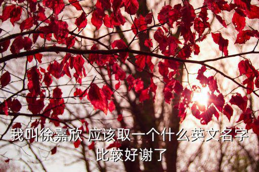 我叫徐嘉欣 應(yīng)該取一個什么英文名字 比較好謝了