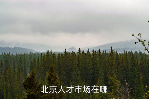 北京人才市場在哪