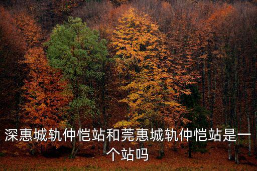 深惠城軌仲愷站和莞惠城軌仲愷站是一個站嗎