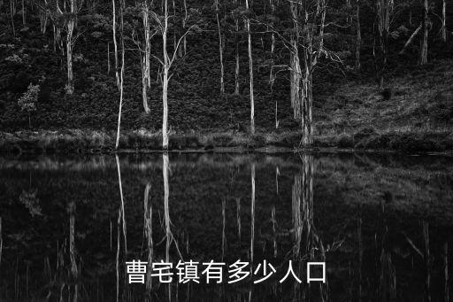 曹宅鎮(zhèn)有多少人口