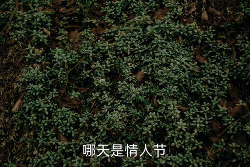 哪天是情人節