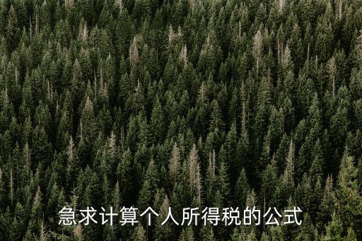 急求計算個人所得稅的公式