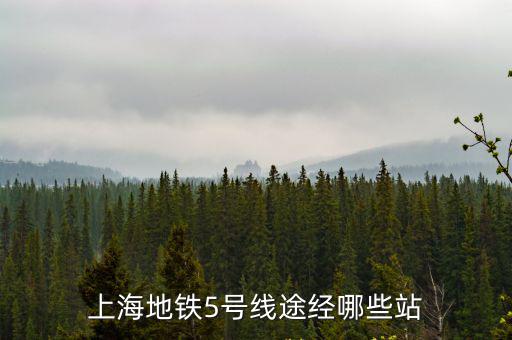 上海地鐵5號(hào)線途經(jīng)哪些站