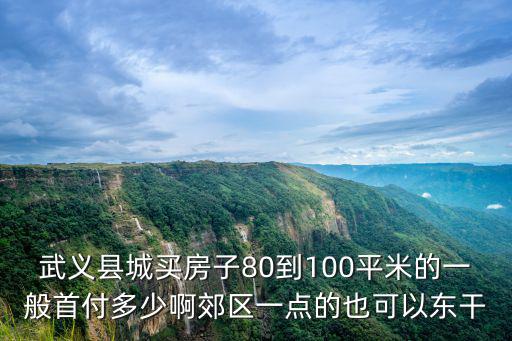 武義縣城買房子80到100平米的一般首付多少啊郊區一點的也可以東干
