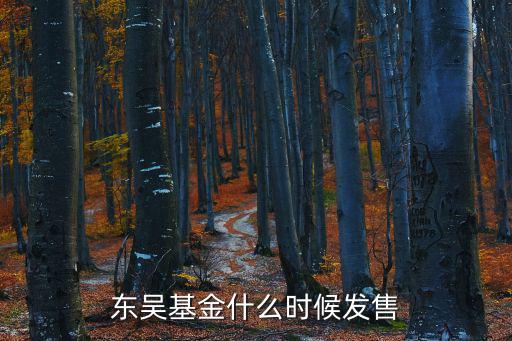 東吳基金什么時(shí)候發(fā)售