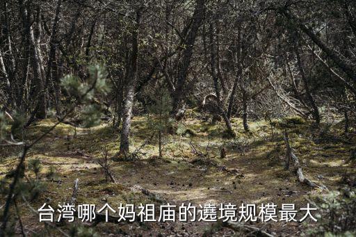 臺灣哪個媽祖廟的遶境規模最大