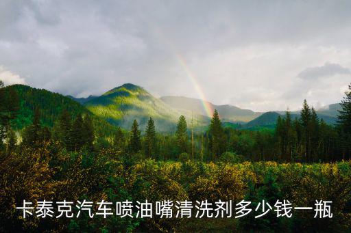 卡泰克汽車噴油嘴清洗劑多少錢一瓶