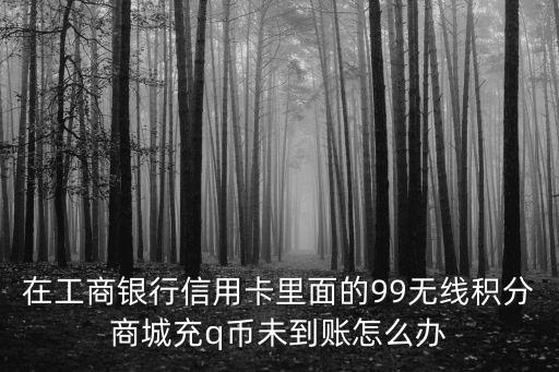 在工商銀行信用卡里面的99無線積分商城充q幣未到賬怎么辦