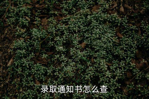 查詢錄取通知書，查高考錄取通知書怎么查