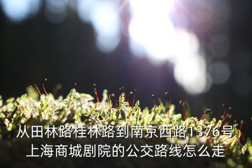 從田林路桂林路到南京西路1376號上海商城劇院的公交路線怎么走