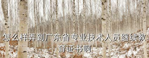 怎么樣弄到廣東省專業技術人員繼續教育證書啊