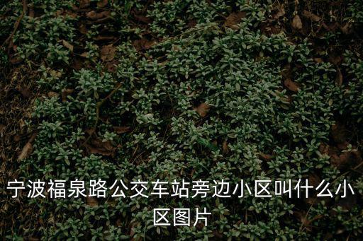 福泉苑，上海香泉路85弄小區叫什么小區