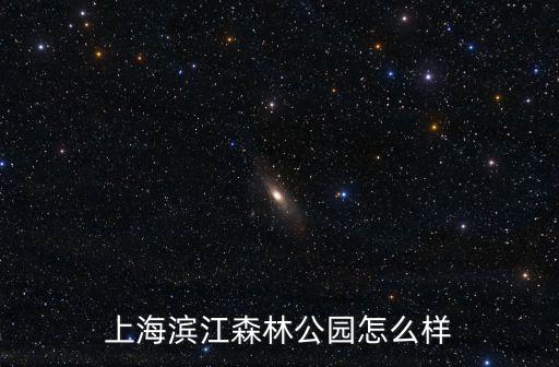 上海濱江森林公園，上海濱江森林公園 門票 多少錢