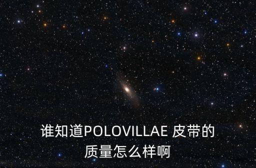 誰知道POLOVILLAE 皮帶的質量怎么樣啊