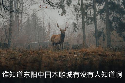 東陽中國木雕城，誰知道東陽中國木雕城有沒有人知道啊