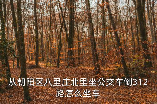 312公交車線路，西安312路公交車的起始站與終點站在哪